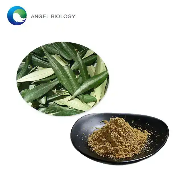 Can Olive Leaf Extract Powder fight infections?